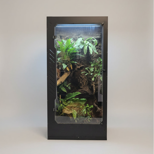Tall black PVC terrarium with plants on a light gray background