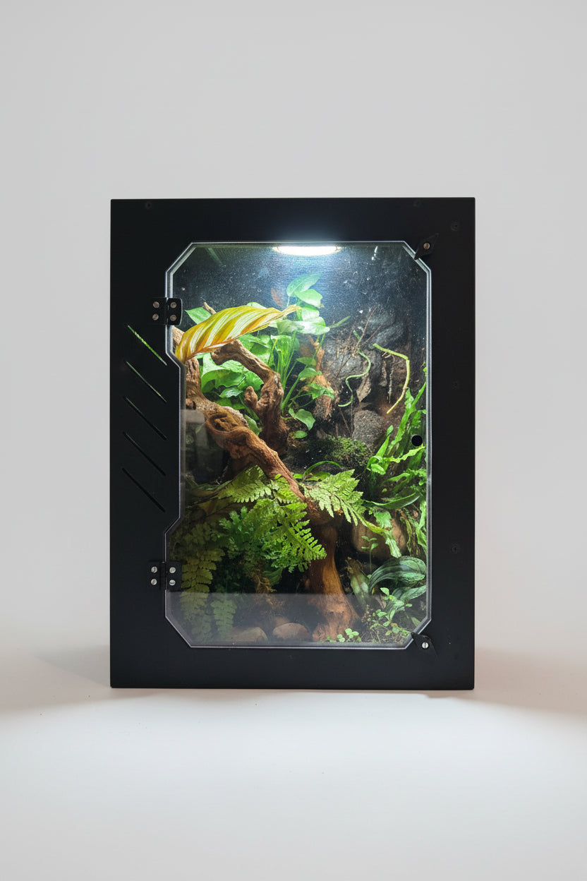Gecko enclosure with plants and decorations on a dark background