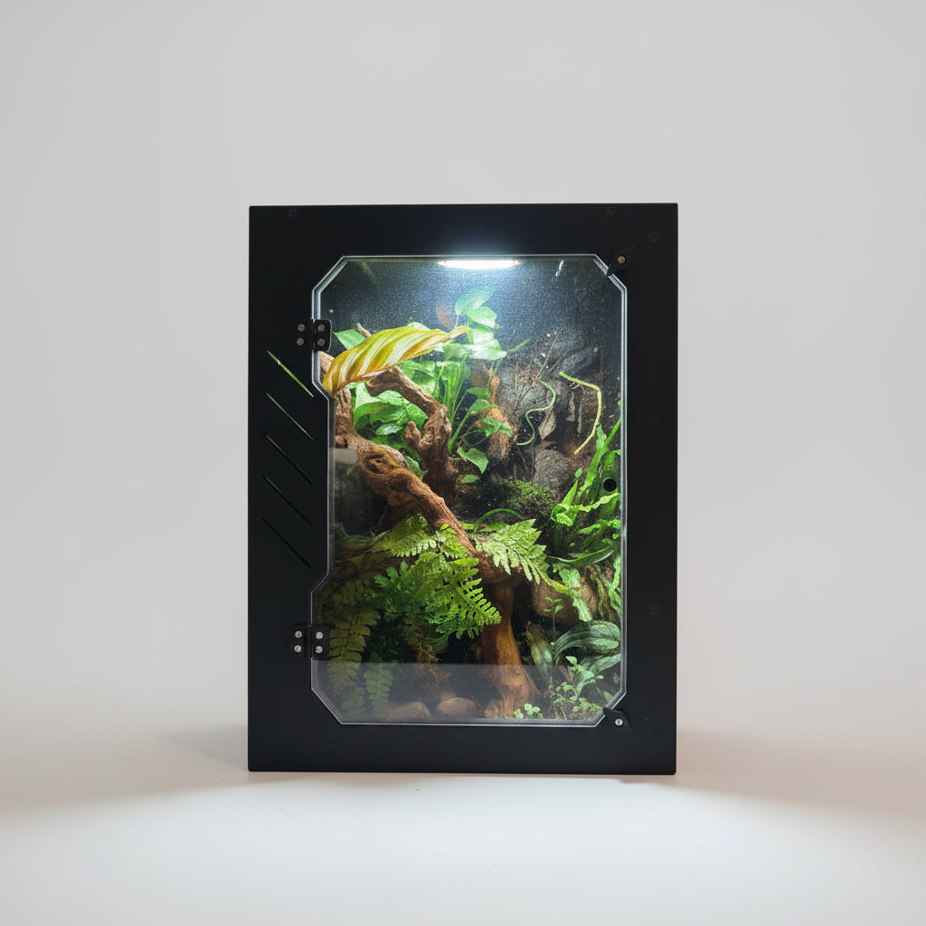 Gecko enclosure with plants and decorations on a dark background