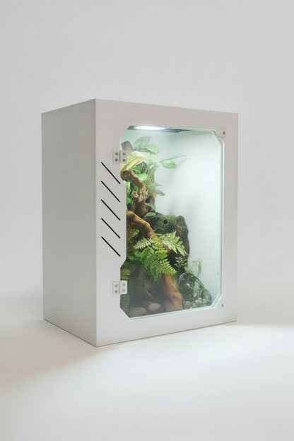 Small terrarium with plants inside a white box on a light gray background