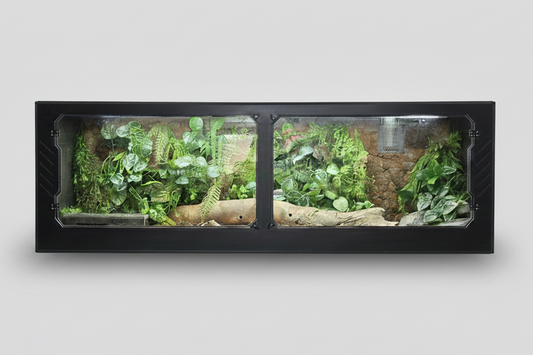reptile terrarium with plants and rocks on a light gray background