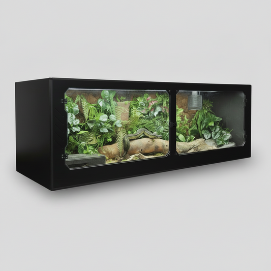 Black-framed terrarium with green plants and a lizard on a gray background