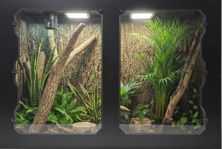 Reptile terrarium with plexiglass doors, plants, and branches on a white background