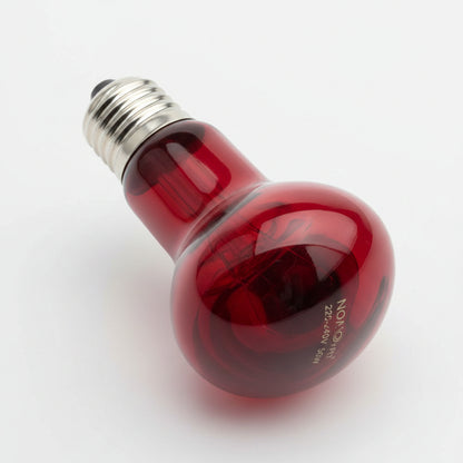 Nonoy infrared light for reptiles