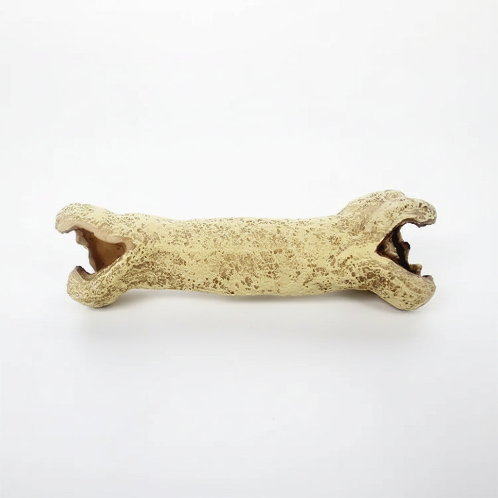 Resin Bone
