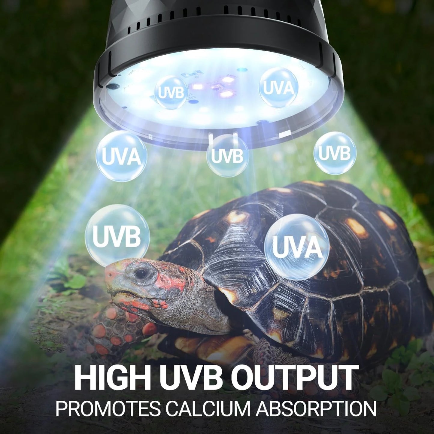 Desert/Tropical UVB bulb 5W