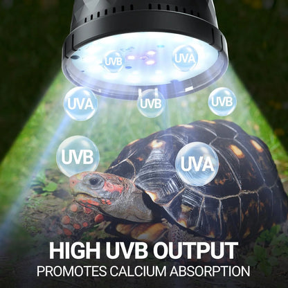 Desert/Tropical UVB bulb 5W