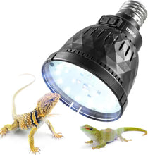Desert/Tropical UVB bulb 5W