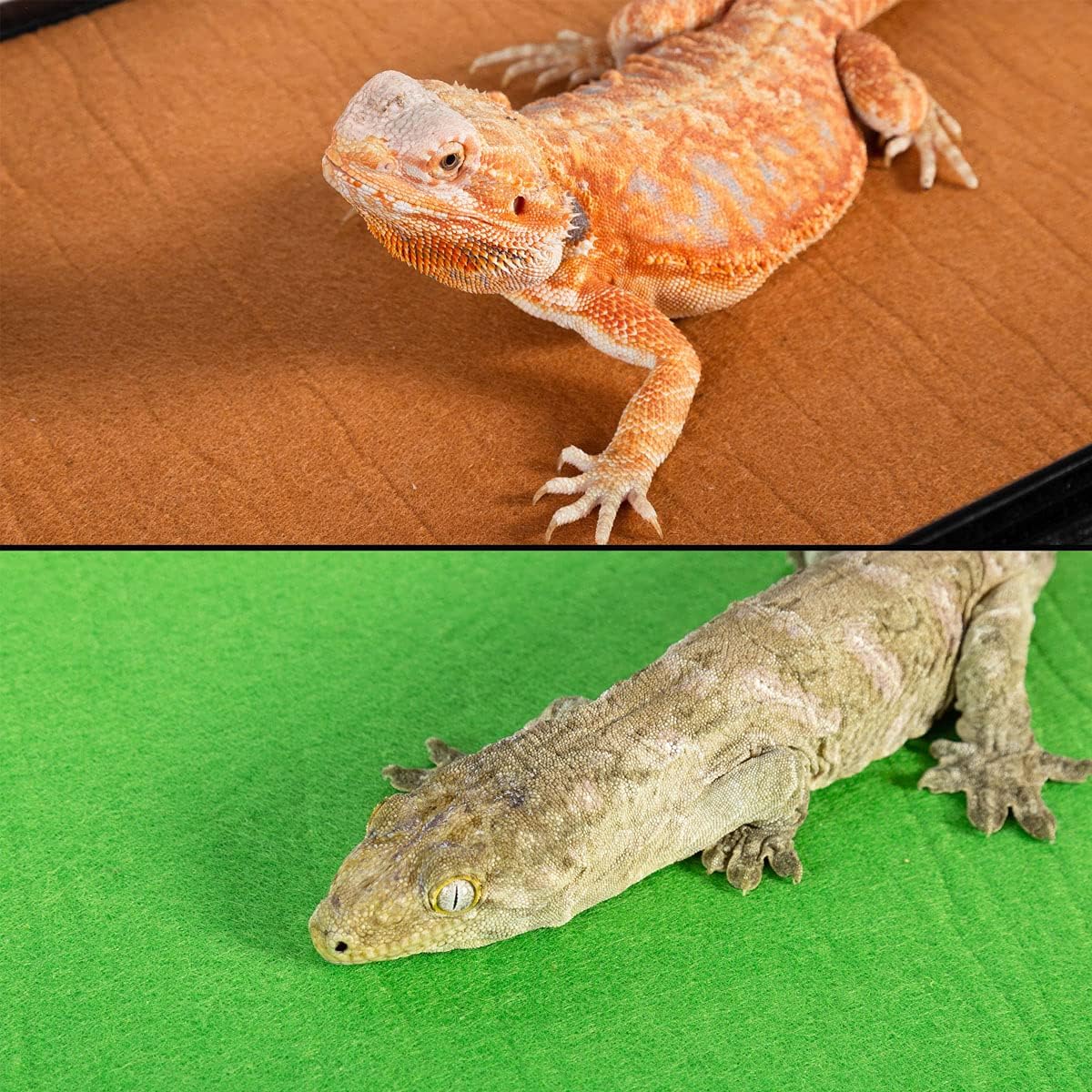 Reversible Reptile Mat Tropical & Desert Terrarium