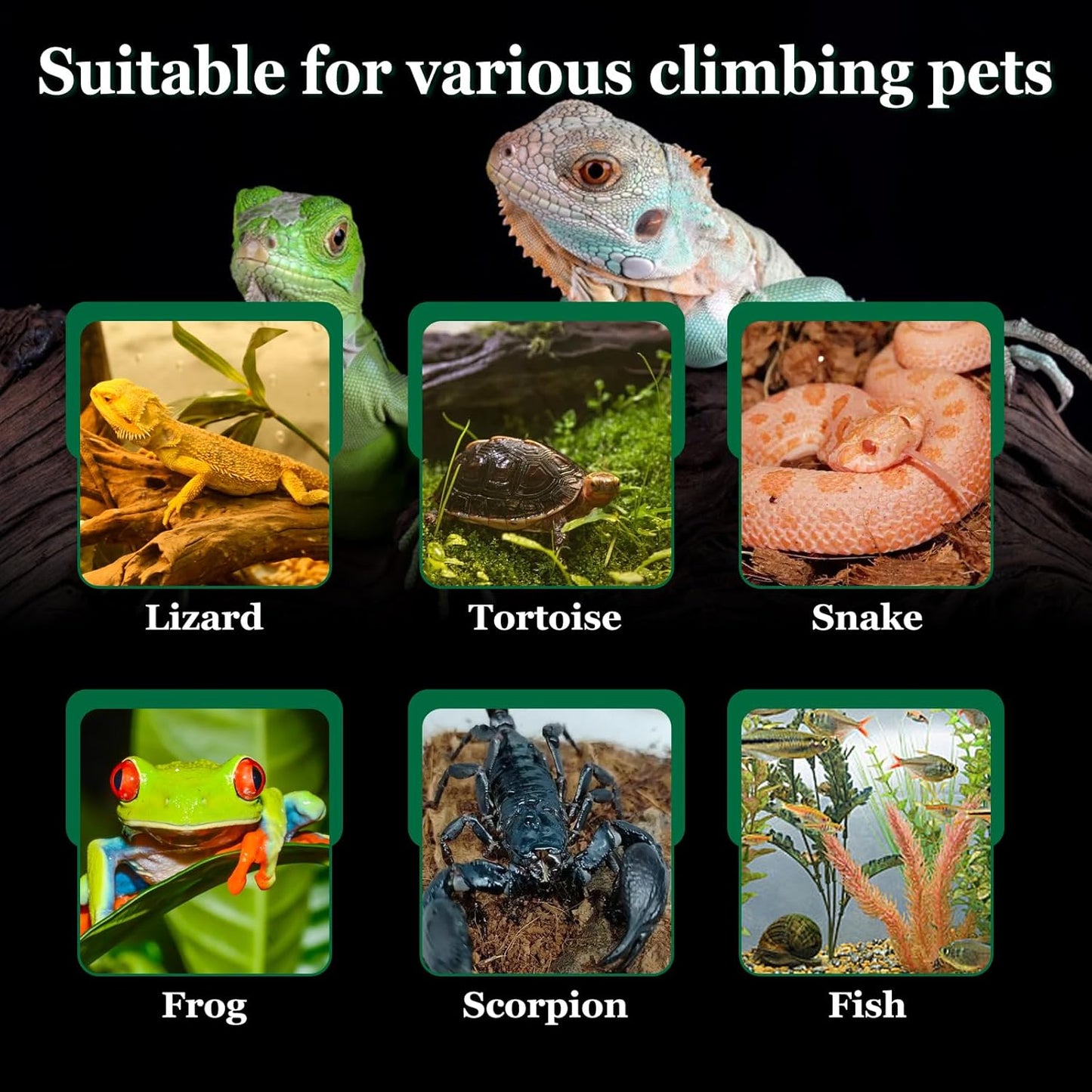 Superior Reptile Heat Mat