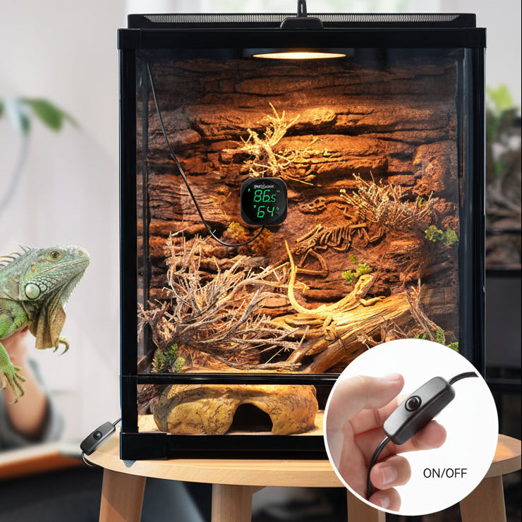 Tortoise terrarium with digital display and power switch, woman reading in the background