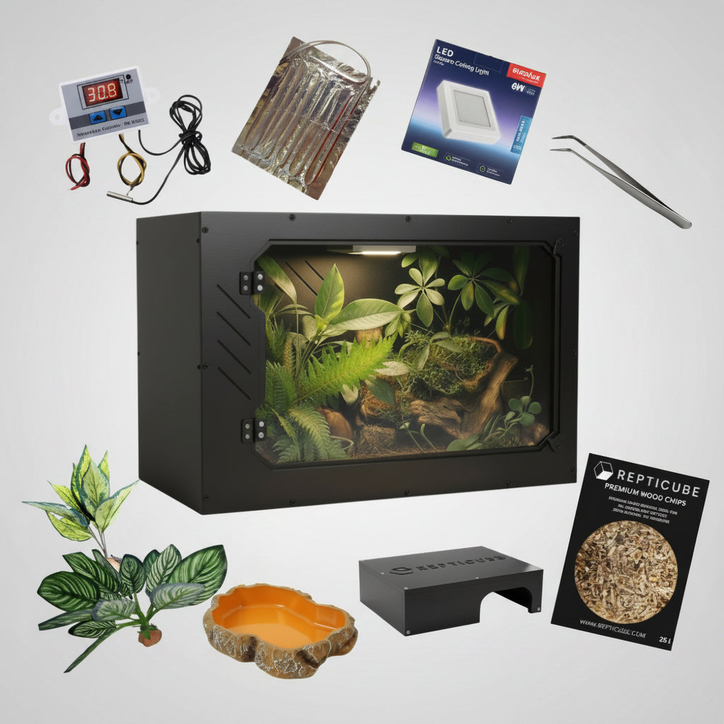 Corn snake 0-1 year bundle starter kit