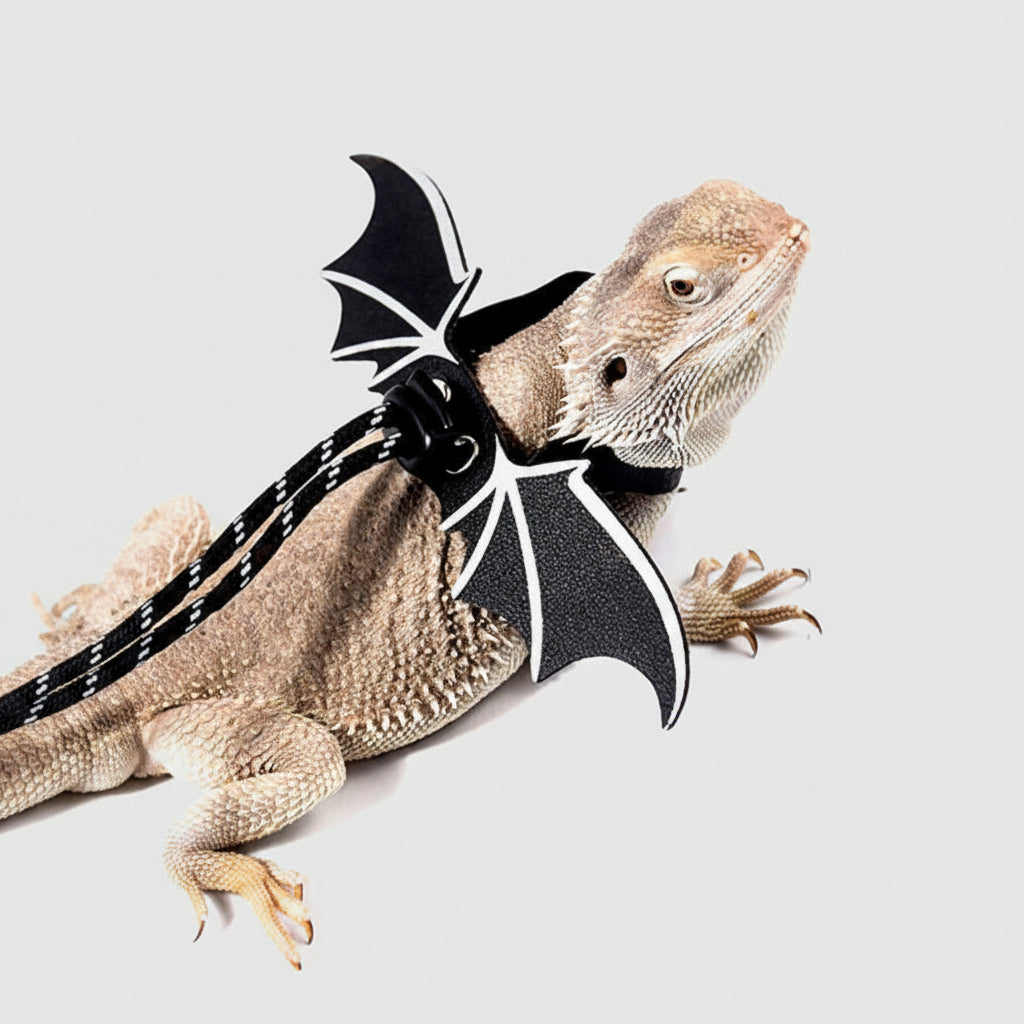 Lizard Leashes