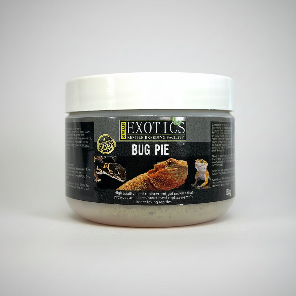 Jar of 'Bug Pie' reptile food with Exotics label on a white background