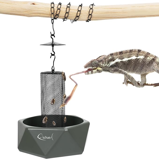 Giangarden FRA05 Live Cricket Feeder | Compact Dual-Feeder Feeding ...