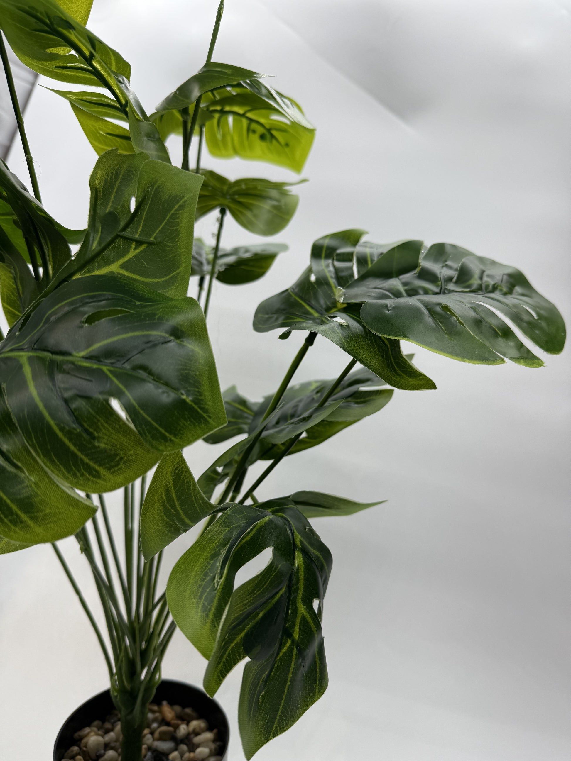 Realistic Monstera artificial plant leaves, perfect for jungle-themed reptile habitats.