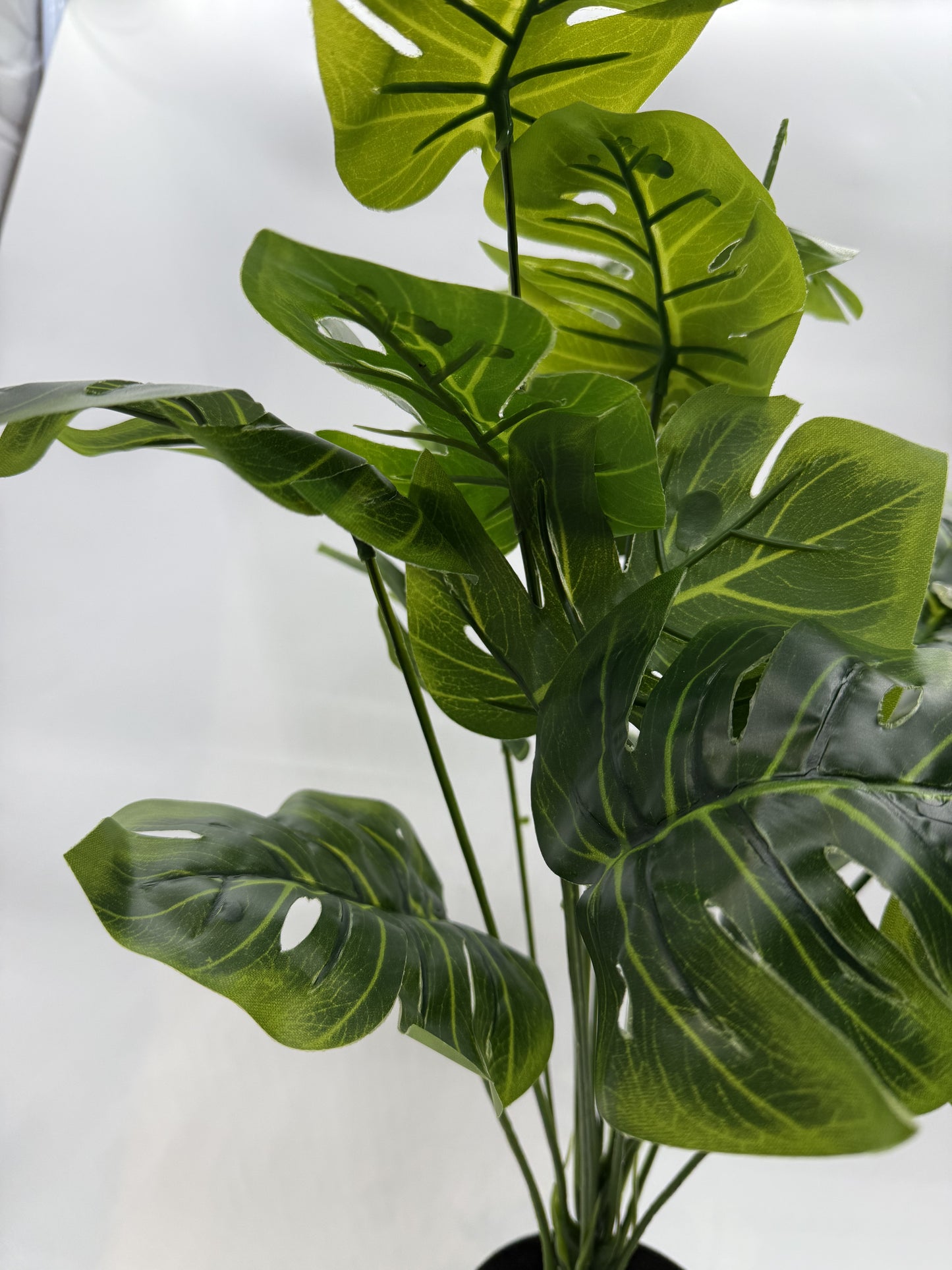 Realistic Monstera artificial plant leaves, perfect for jungle-themed reptile habitats.