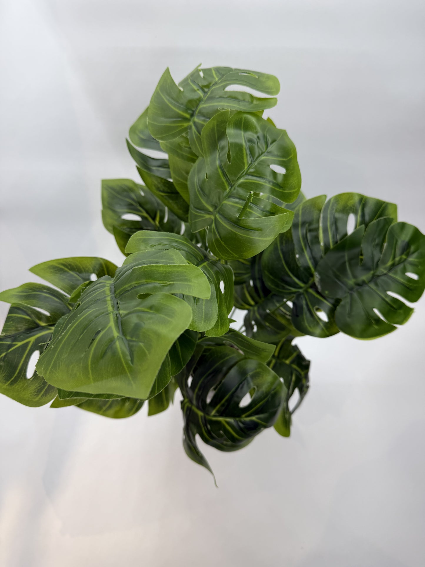 Realistic Monstera artificial plant leaves, perfect for jungle-themed reptile habitats.