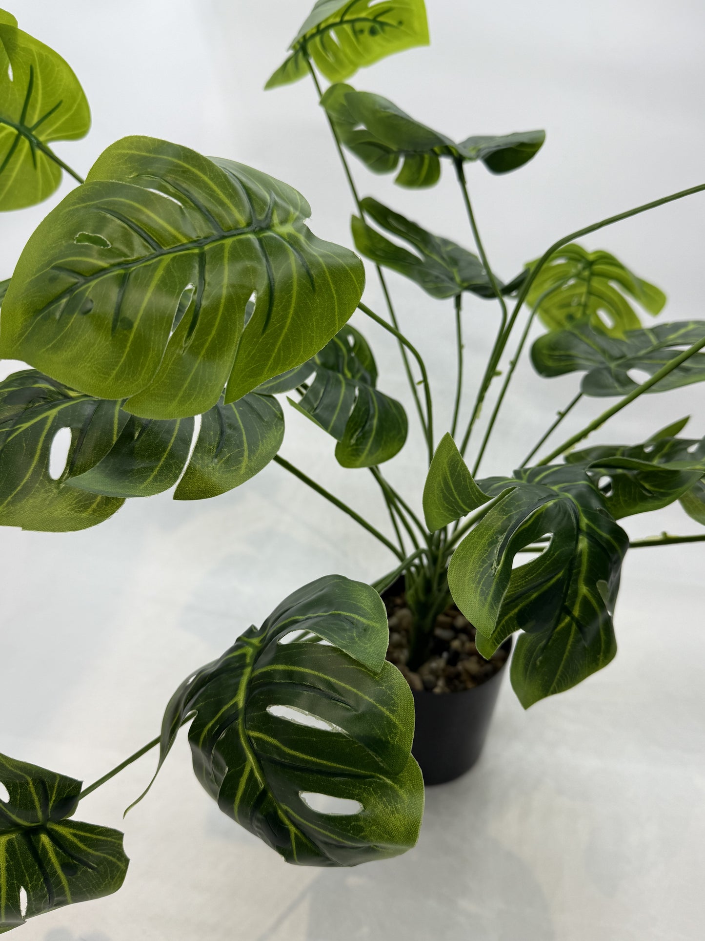 Lifelike Monstera artificial plant providing a natural look in a reptile enclosure.