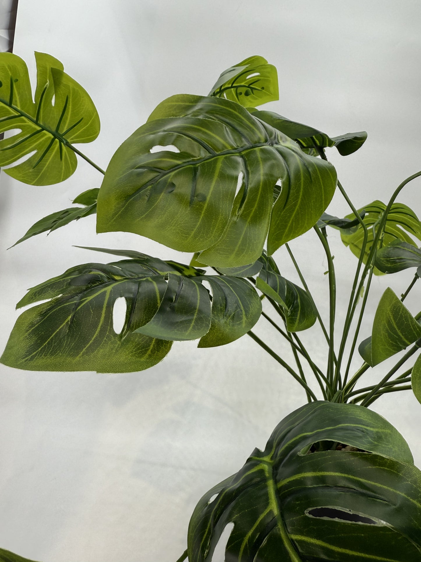 Lifelike Monstera artificial plant providing a natural look in a reptile enclosure.