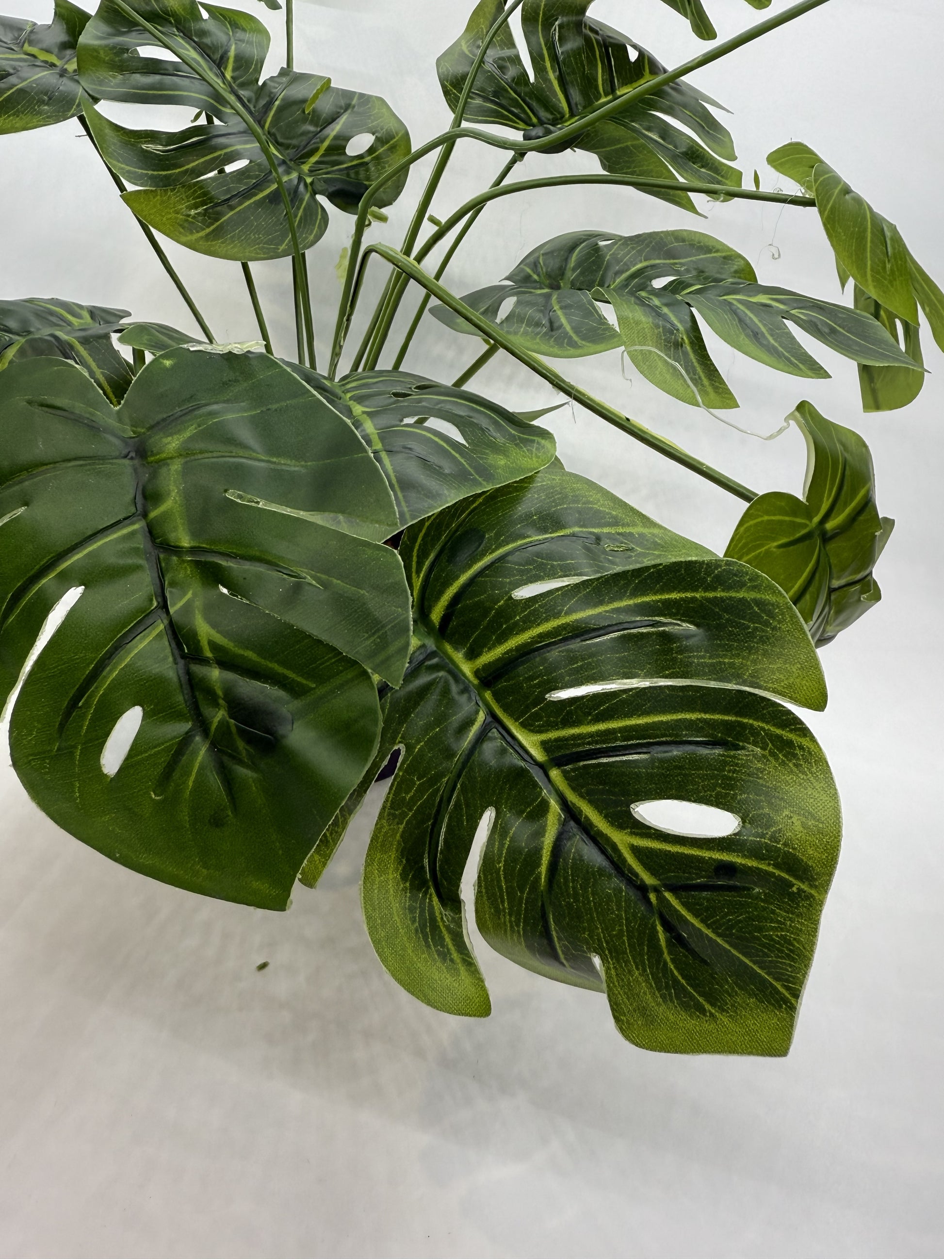 Lifelike Monstera artificial plant providing a natural look in a reptile enclosure.