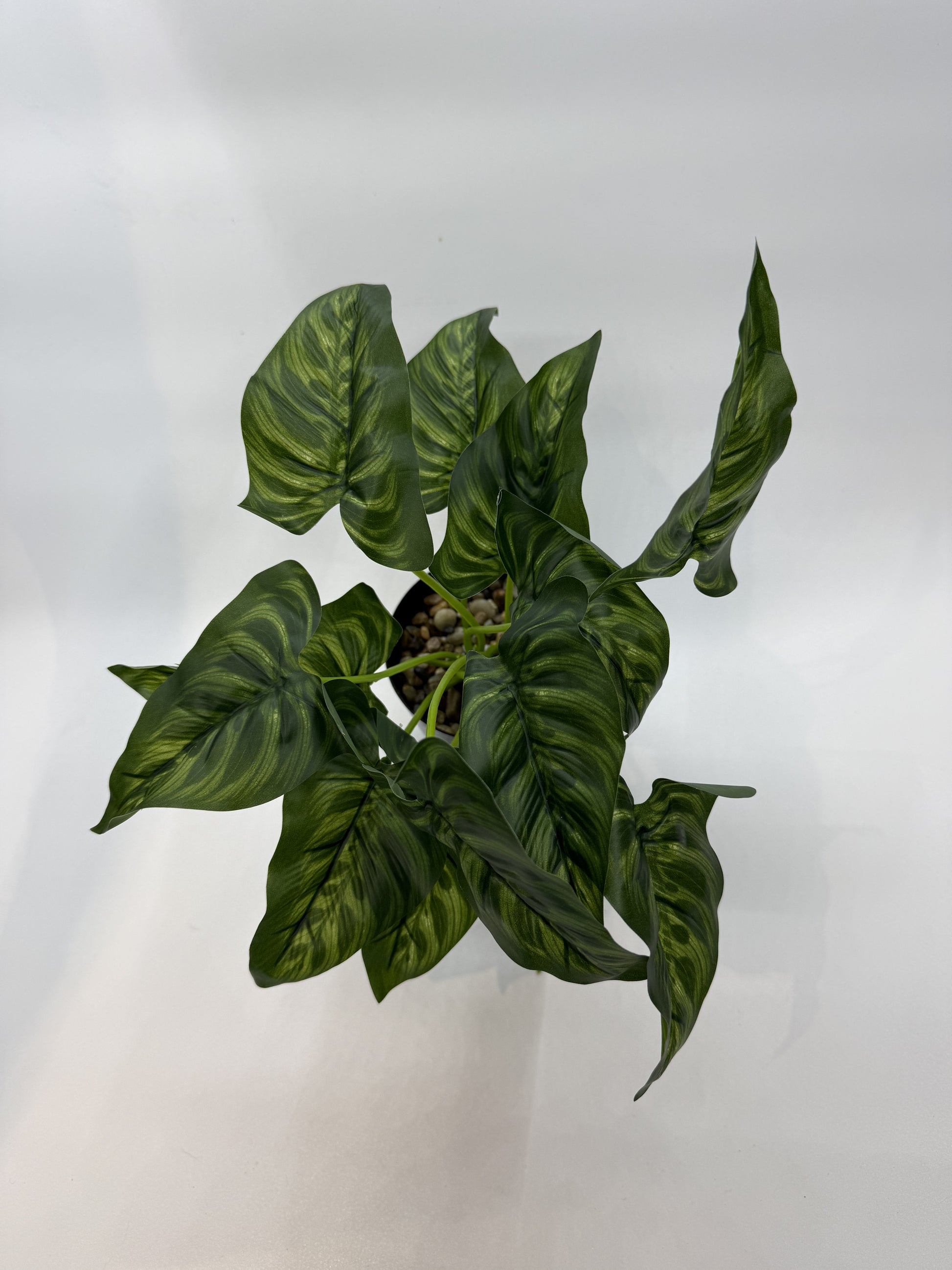 Lifelike Prayer Plant artificial decor in a reptile enclosure for a natural jungle aesthetic.