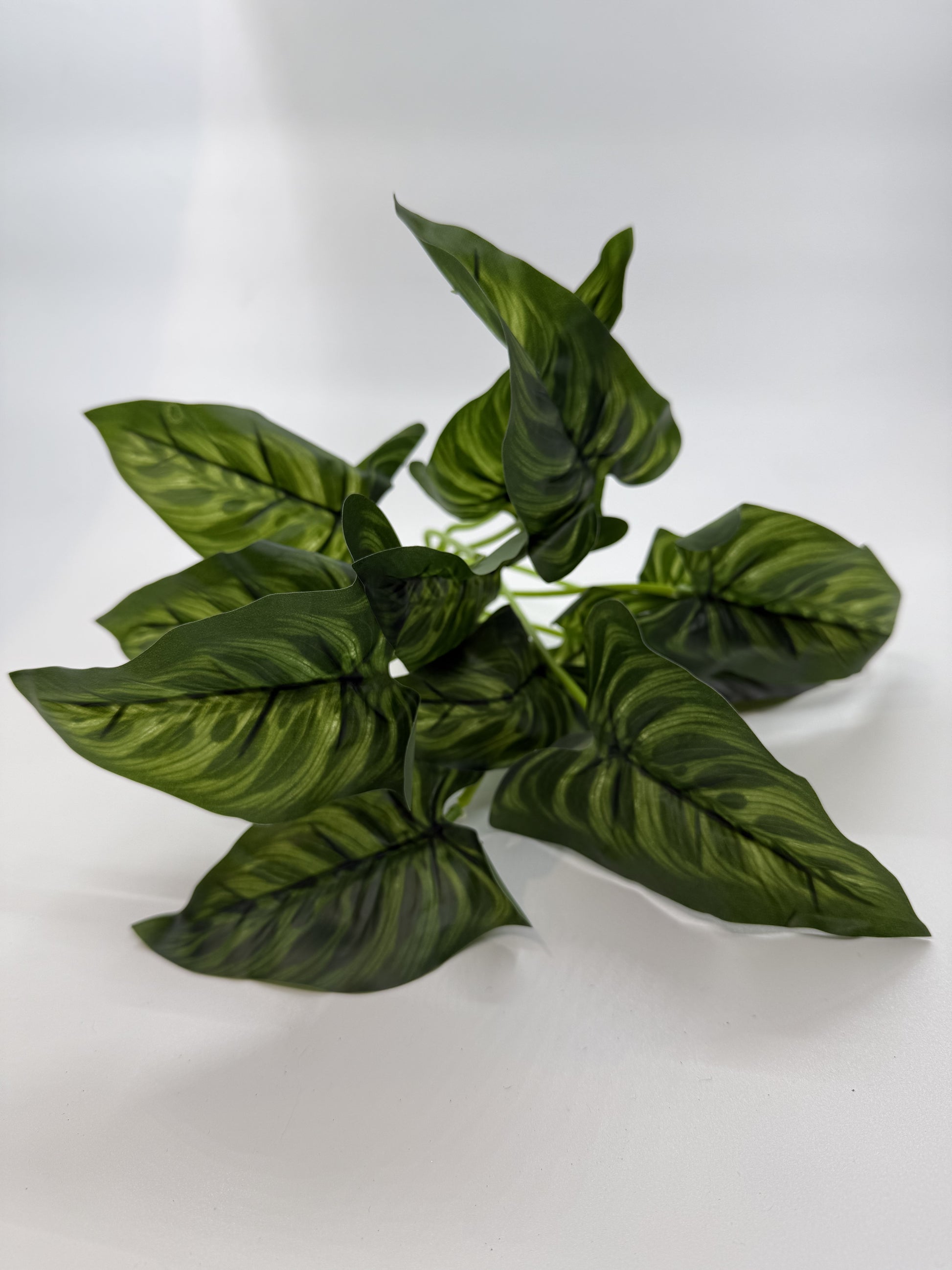 Realistic artificial Prayer Plant providing cover and beauty in a reptile vivarium.