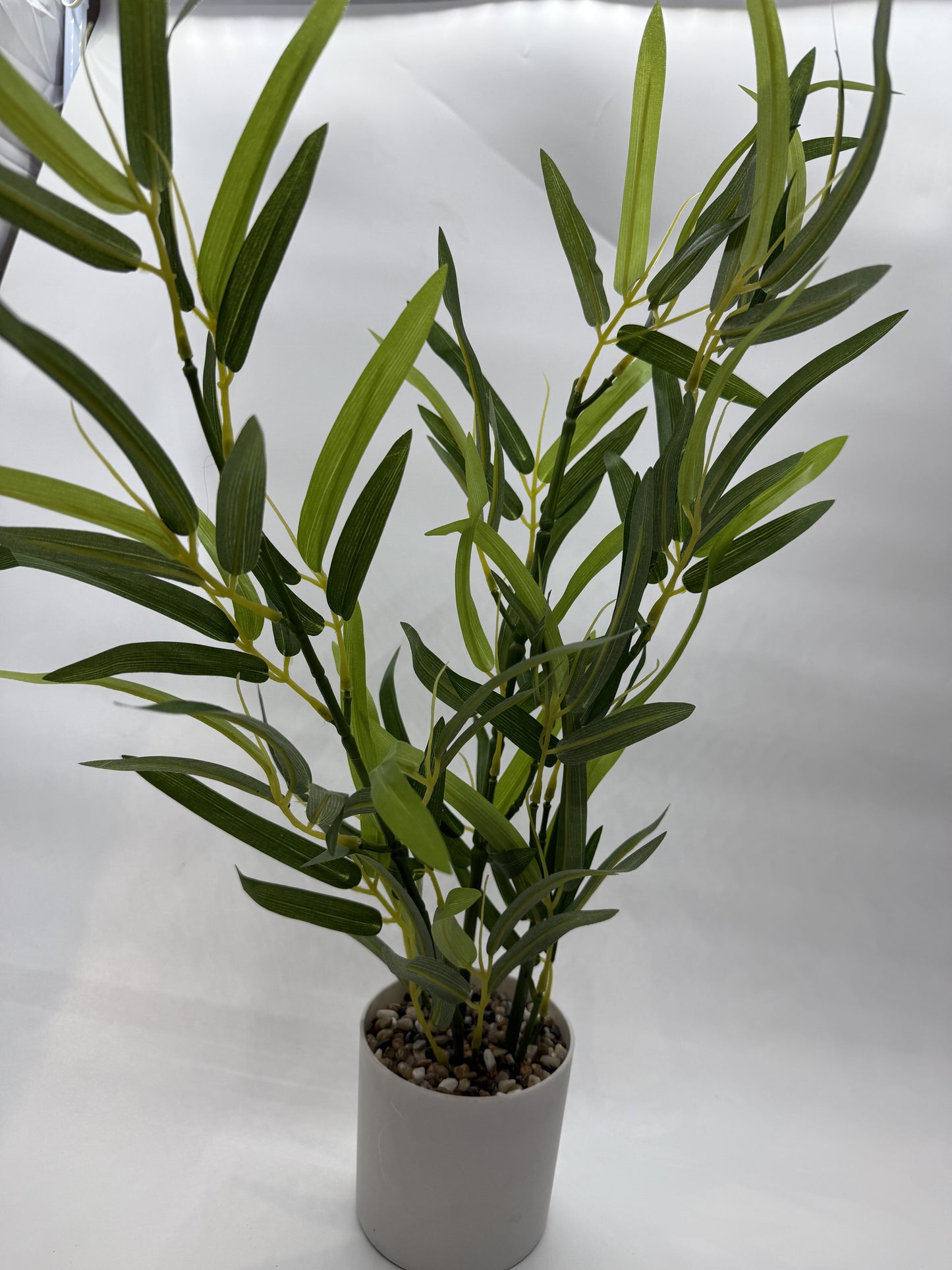 Artificial Tarragon plant providing a lush backdrop in a tropical reptile vivarium