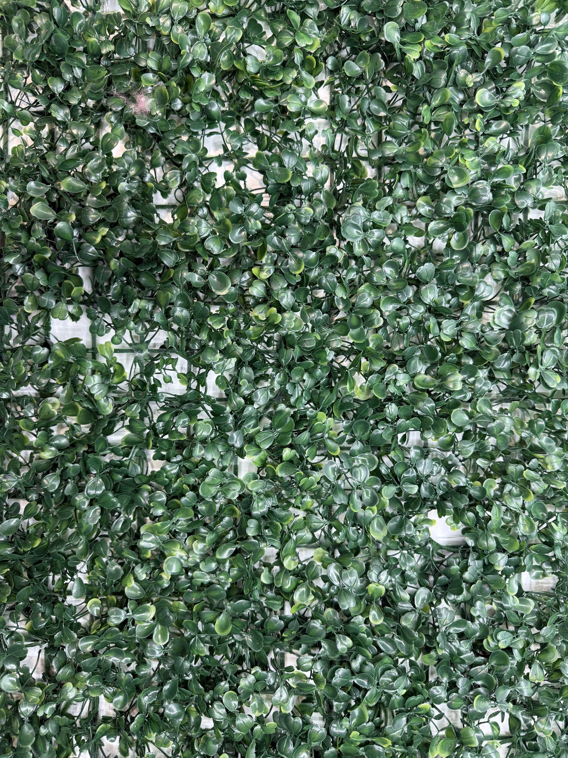 Lifelike artificial ivy backdrop enhancing a reptile enclosure with a natural look.