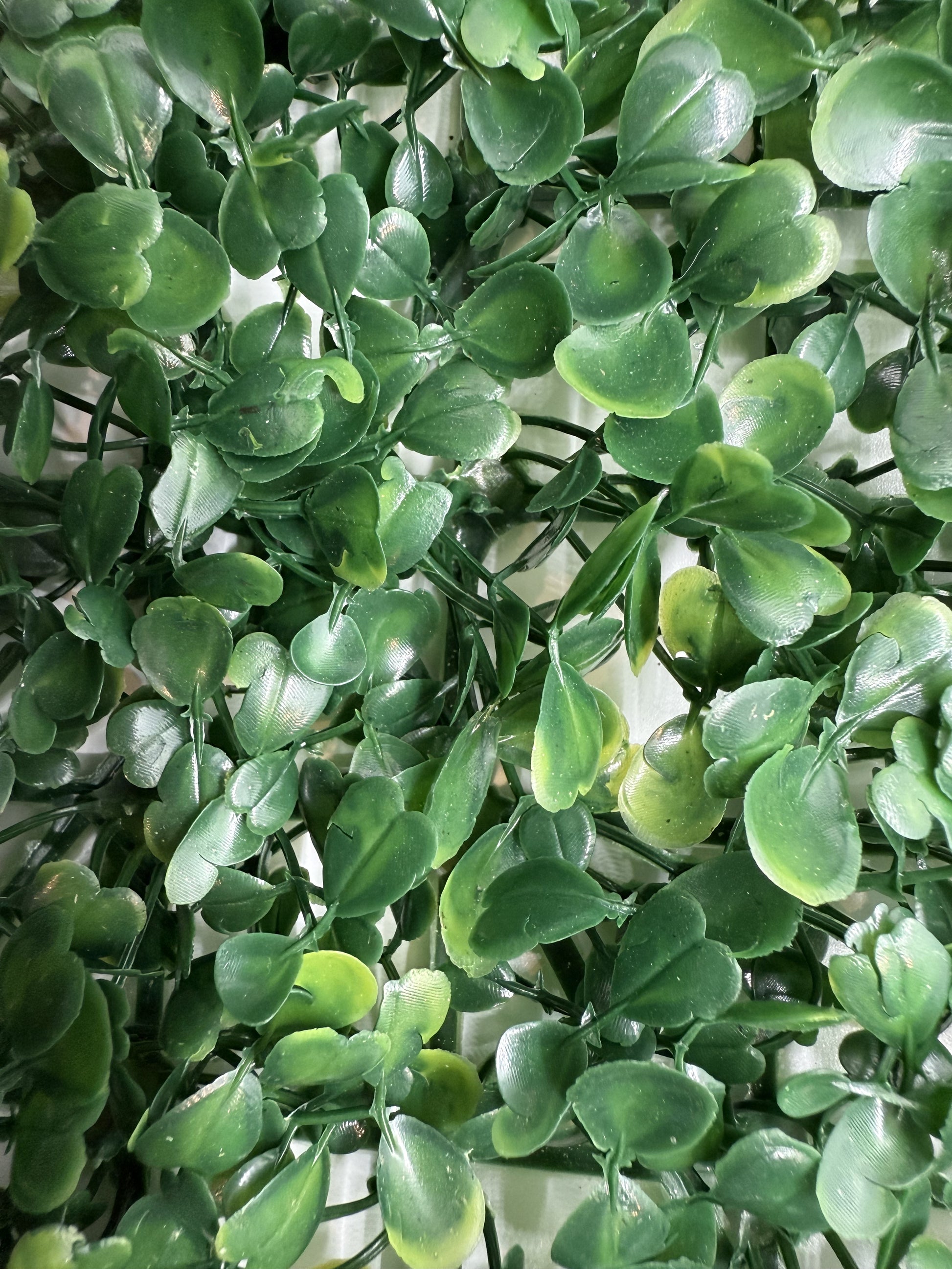 Detailed faux ivy leaves perfect for creating a natural habitat in reptile cages.