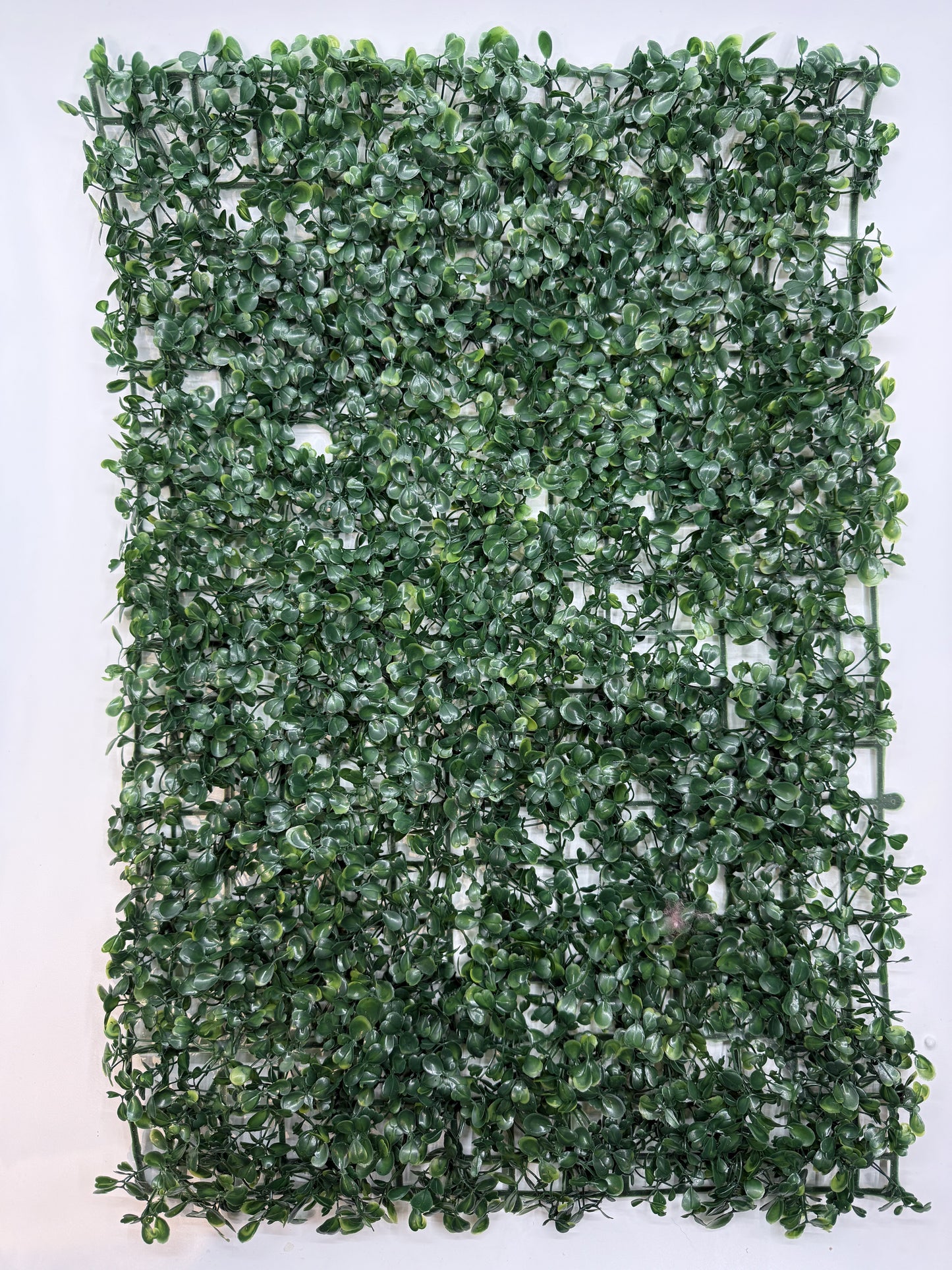 Detailed faux ivy leaves perfect for creating a natural habitat in reptile cages.