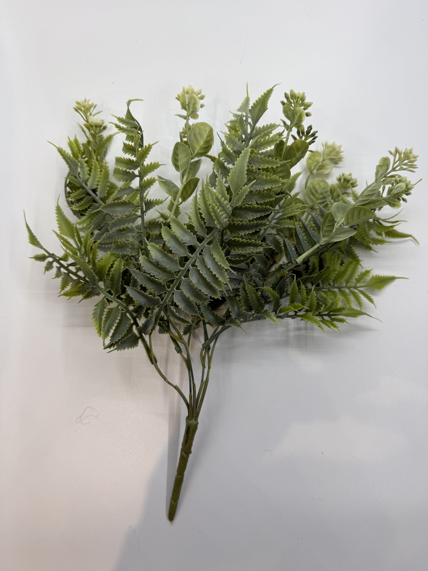 Detailed faux Asplenium Contiguum fern leaves for naturalistic reptile habitats.