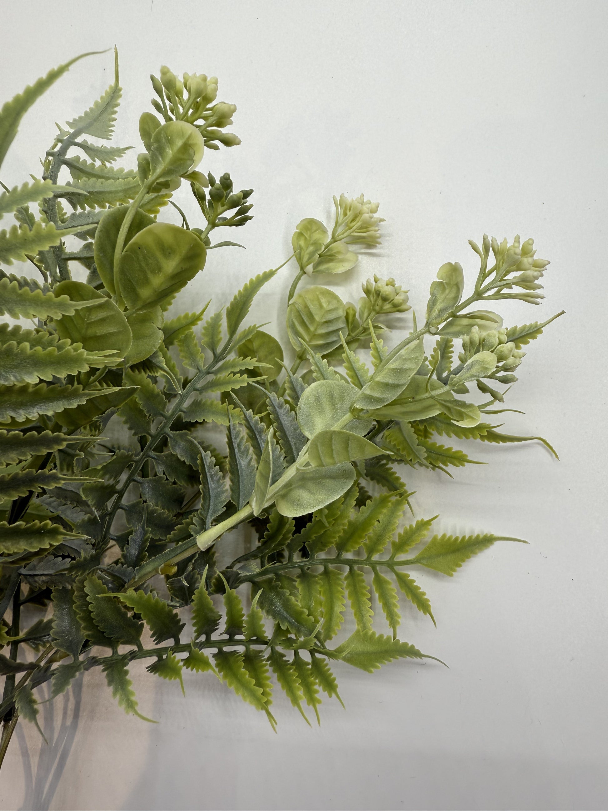 Asplenium Contiguum artificial plant enhancing a tropical reptile terrarium.