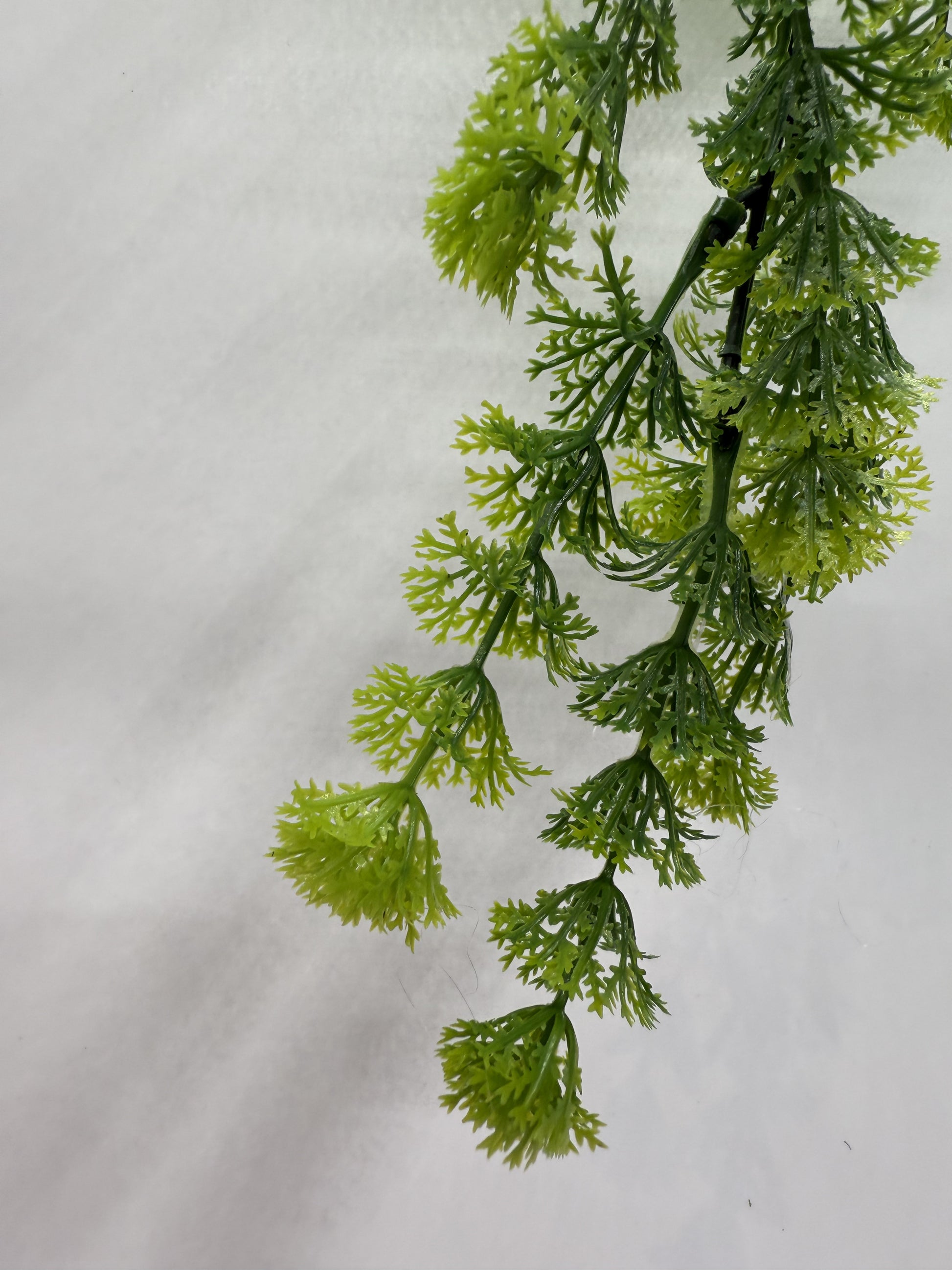 Realistic artificial Dill Anethum plant for reptile enclosures, adding a natural look.