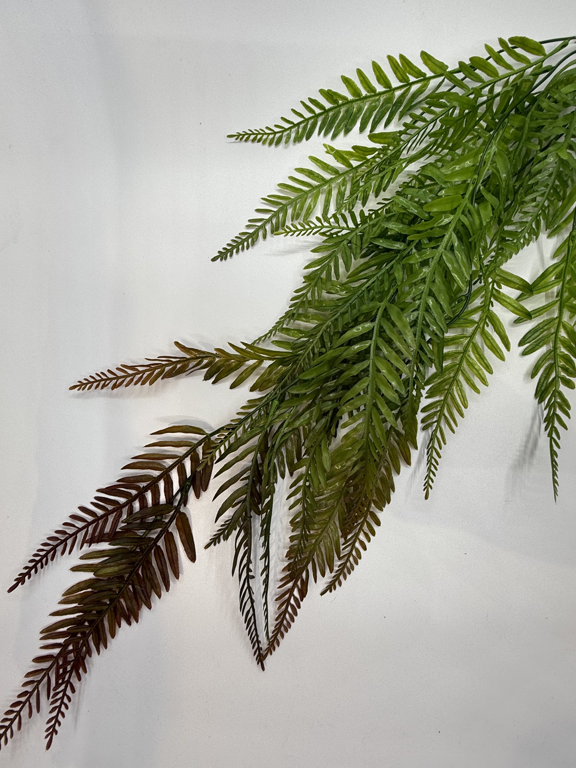 Drooping Spleenwort artificial plant adding greenery to a naturalistic vivarium setup.