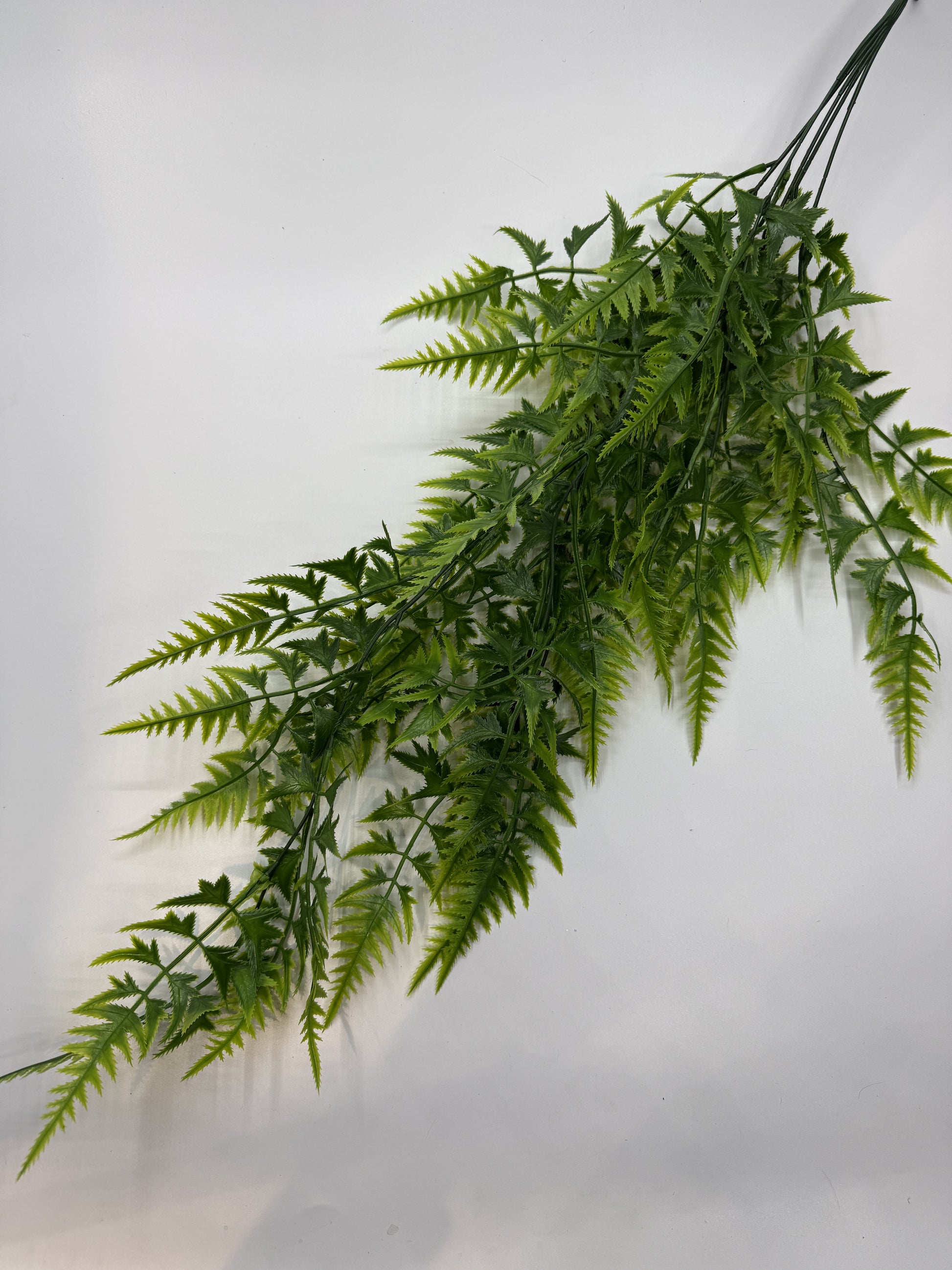 Detailed faux Pteris Quadriaurita fern leaves for jungle-style reptile habitats