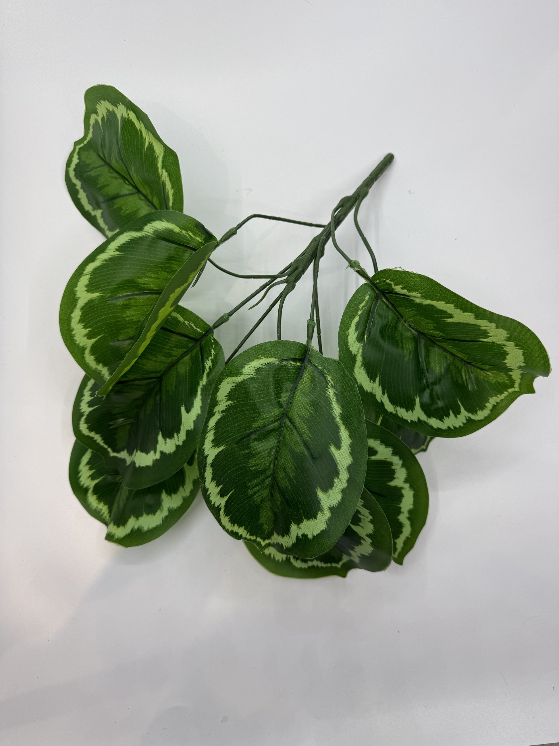 Realistic Calathea Makoyana artificial plant in a reptile vivarium for tropical decor."