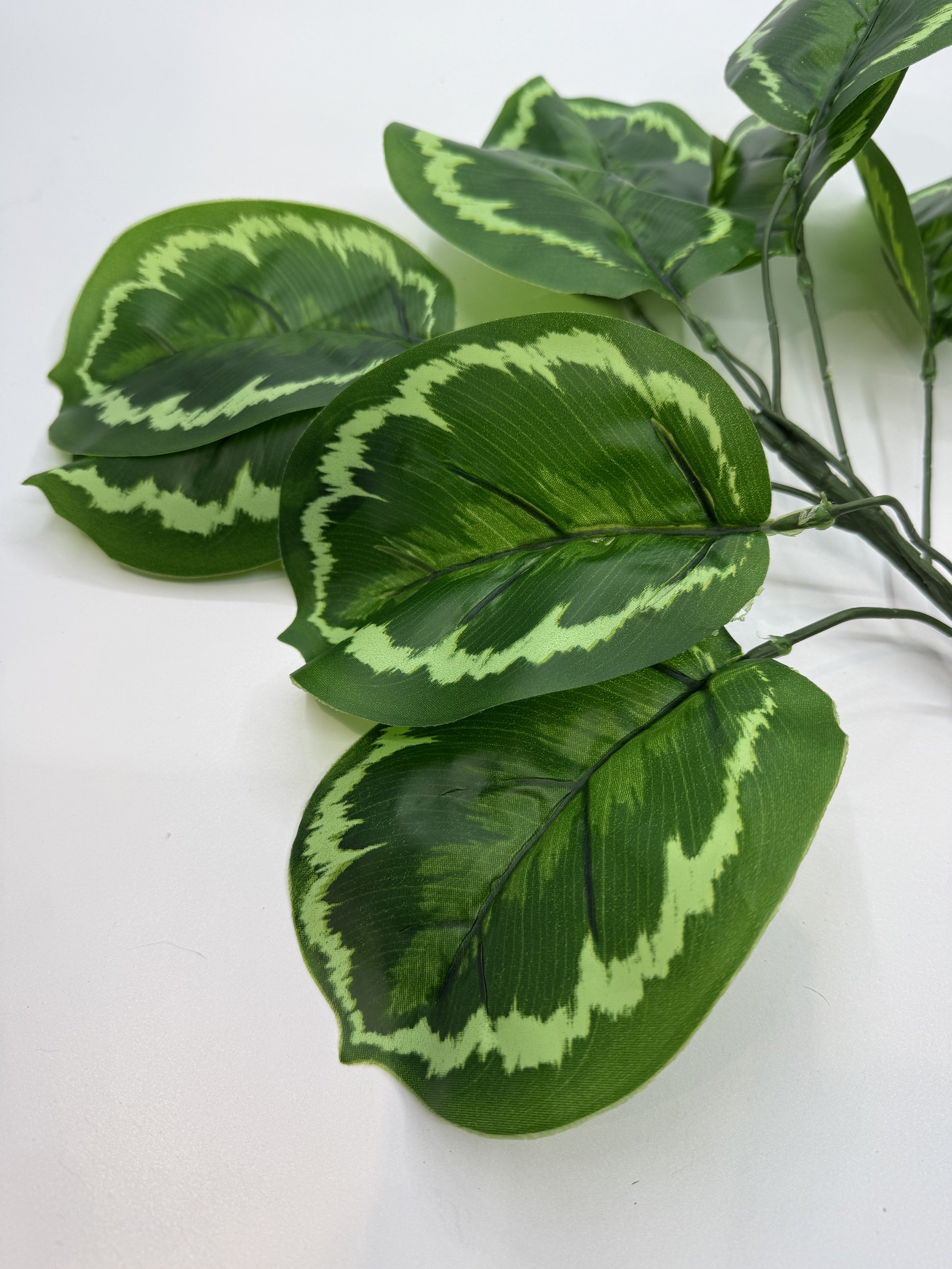 Realistic Calathea Makoyana artificial plant in a reptile vivarium for tropical decor."