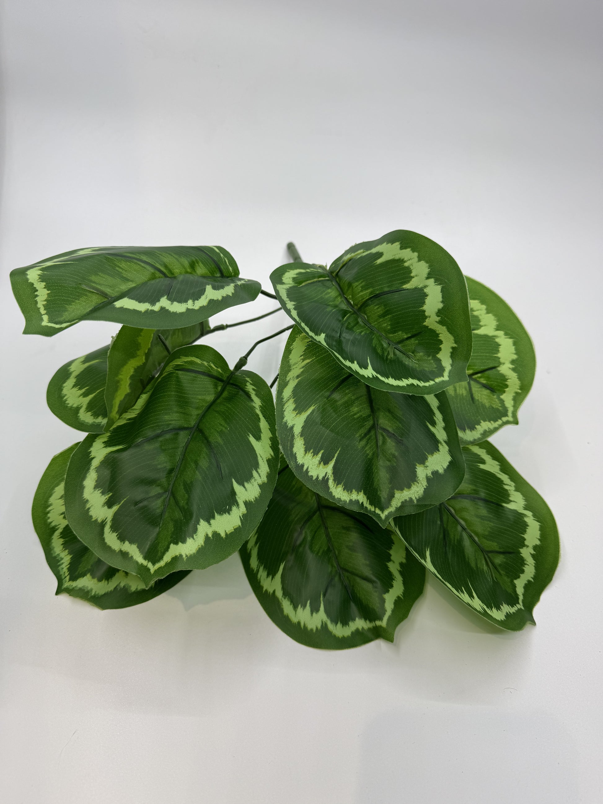 Realistic Calathea Makoyana artificial plant in a reptile vivarium for tropical decor."