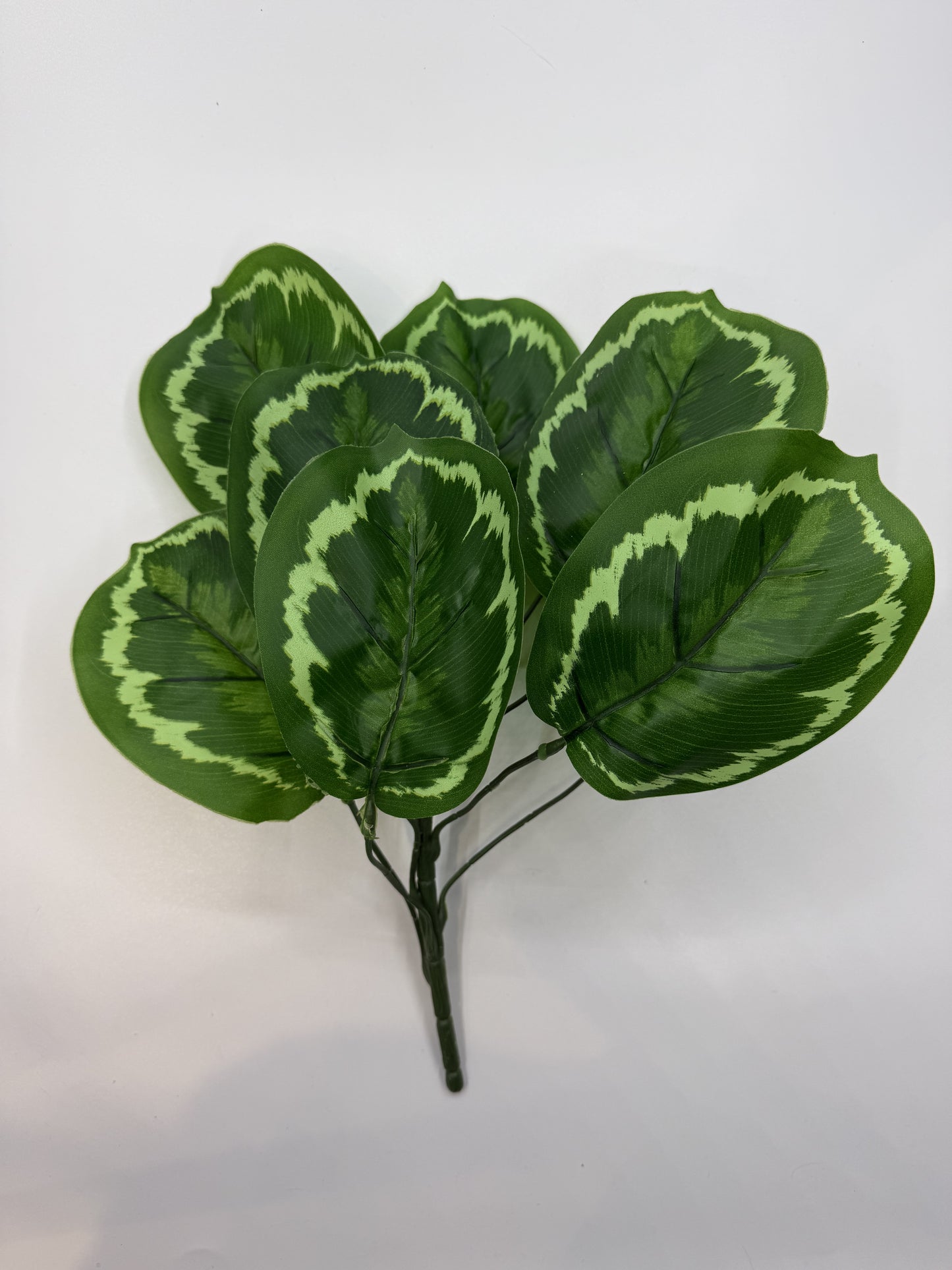 Detailed faux Calathea Makoyana leaves, perfect for creating a natural jungle theme in reptile enclosures.