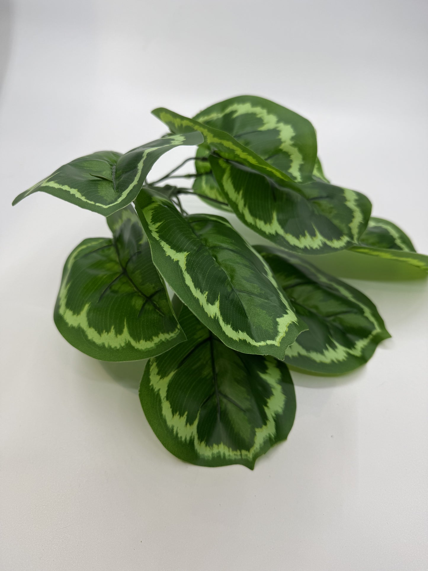 Detailed faux Calathea Makoyana leaves, perfect for creating a natural jungle theme in reptile enclosures.