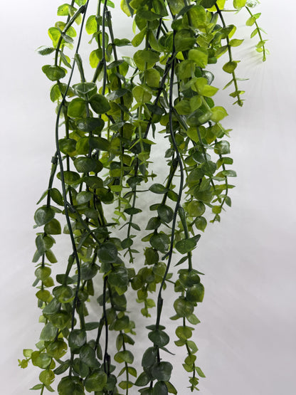 Lifelike Dischidia Bengalensis artificial plant decor in a reptile enclosure."