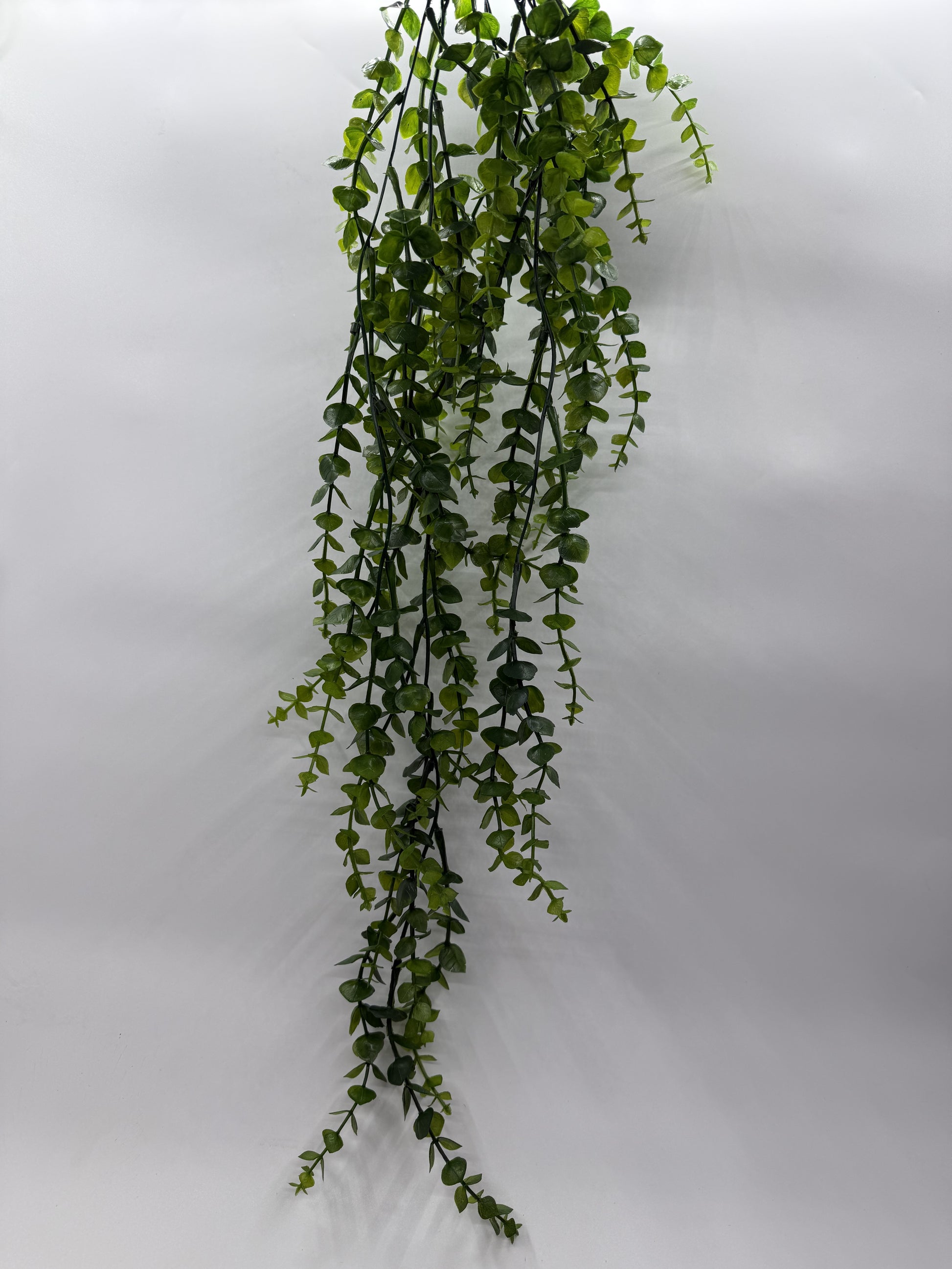 Lifelike Dischidia Bengalensis artificial plant decor in a reptile enclosure."