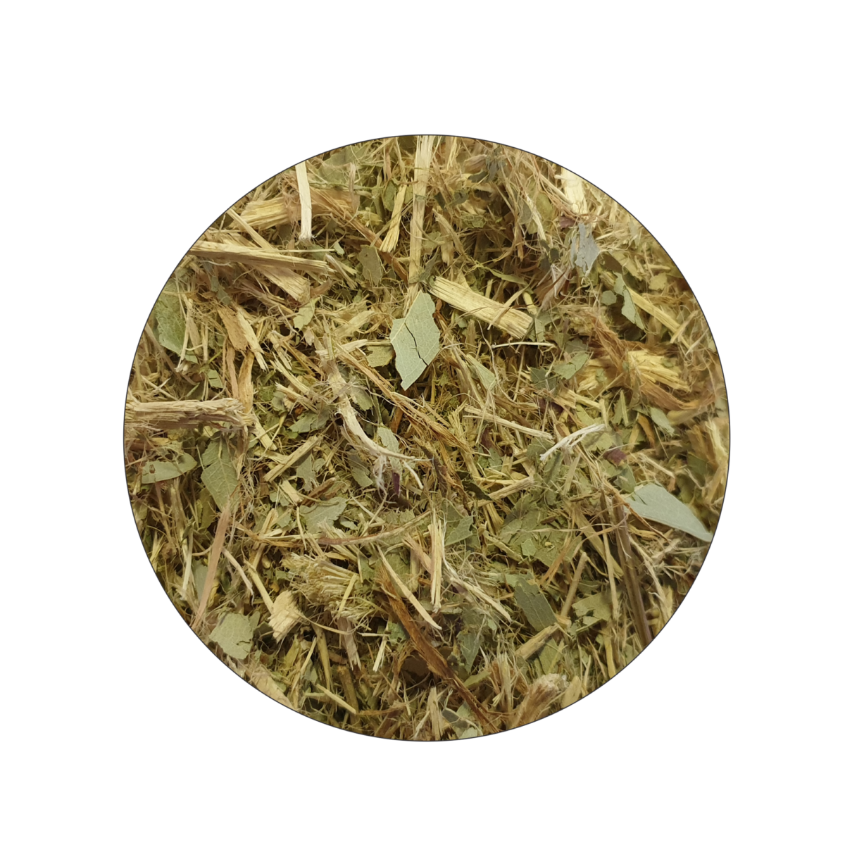 Close-up of aromatic eucalyptus wood texture