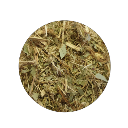 Close-up of aromatic eucalyptus wood texture