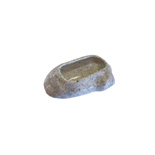 Close-up of shallow Komodo resin bowl