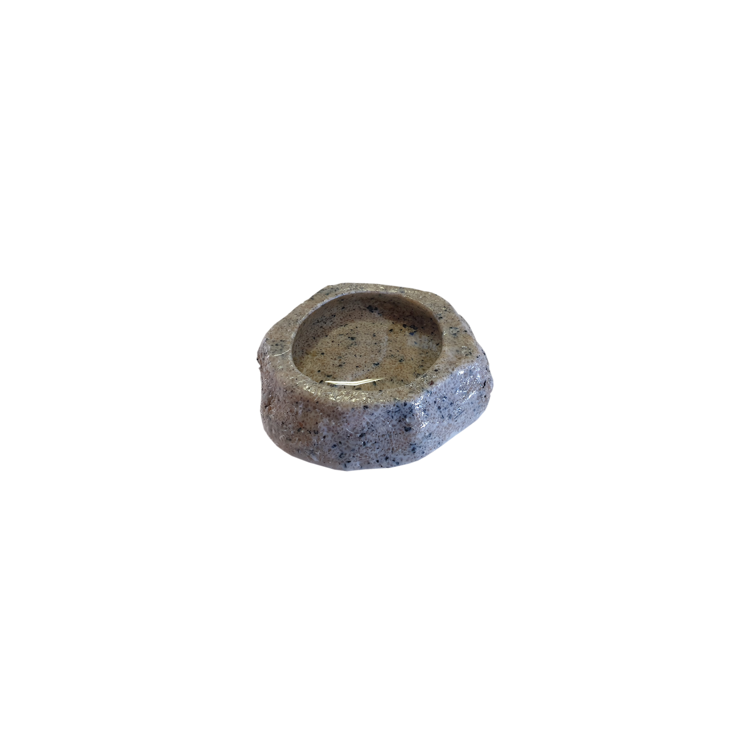 Komodo Rock Spider Bowl