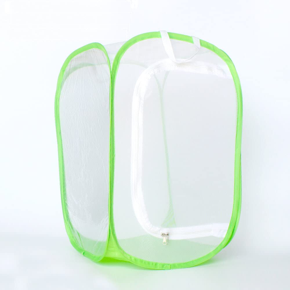 Portable Insect Habitat Kits
