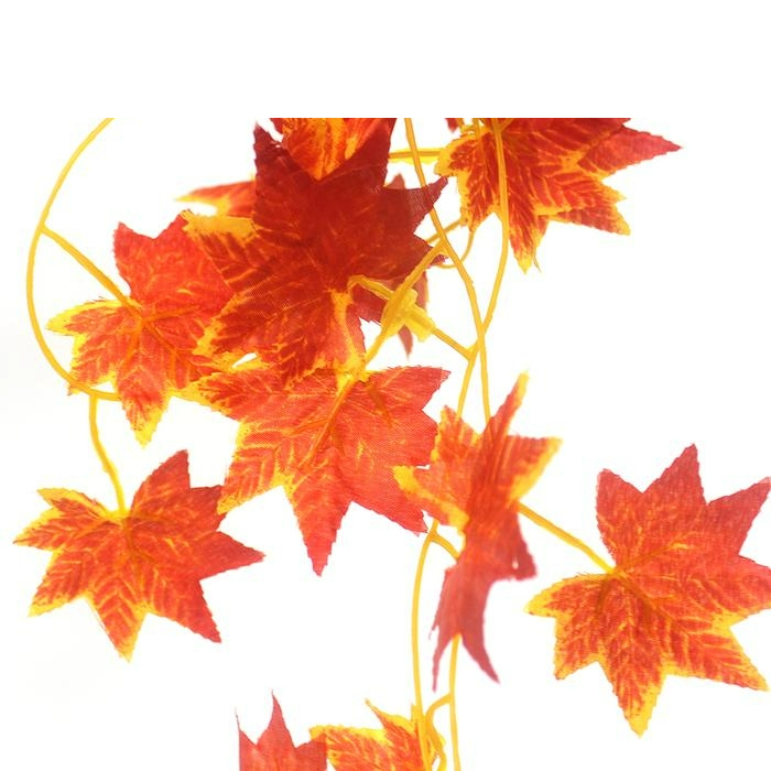 Nomoy NFF-78 hanging plant