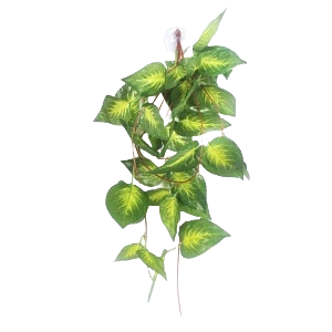 Nomoy NFF-84 hanging plant